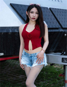 黑狐2019
